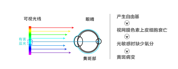 蓝光是怎么伤害眼睛的图片